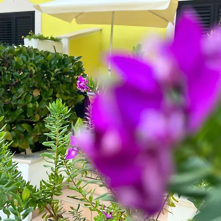 Argeste Club Vacanze Hotel apartamentowy 3*